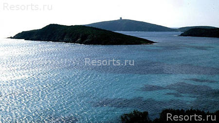 Is Morus Relais 50